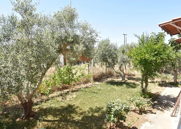 Meli Holiday home *
